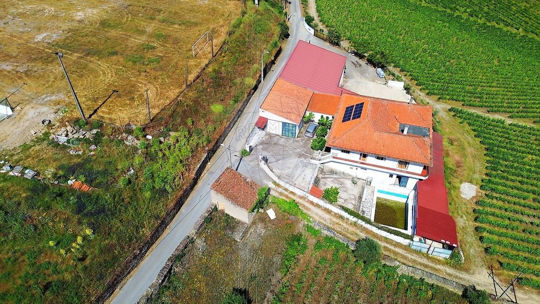 Farm Ranch in Ervedosa do Douro, Viseu District, Portugal 3 - 16629267