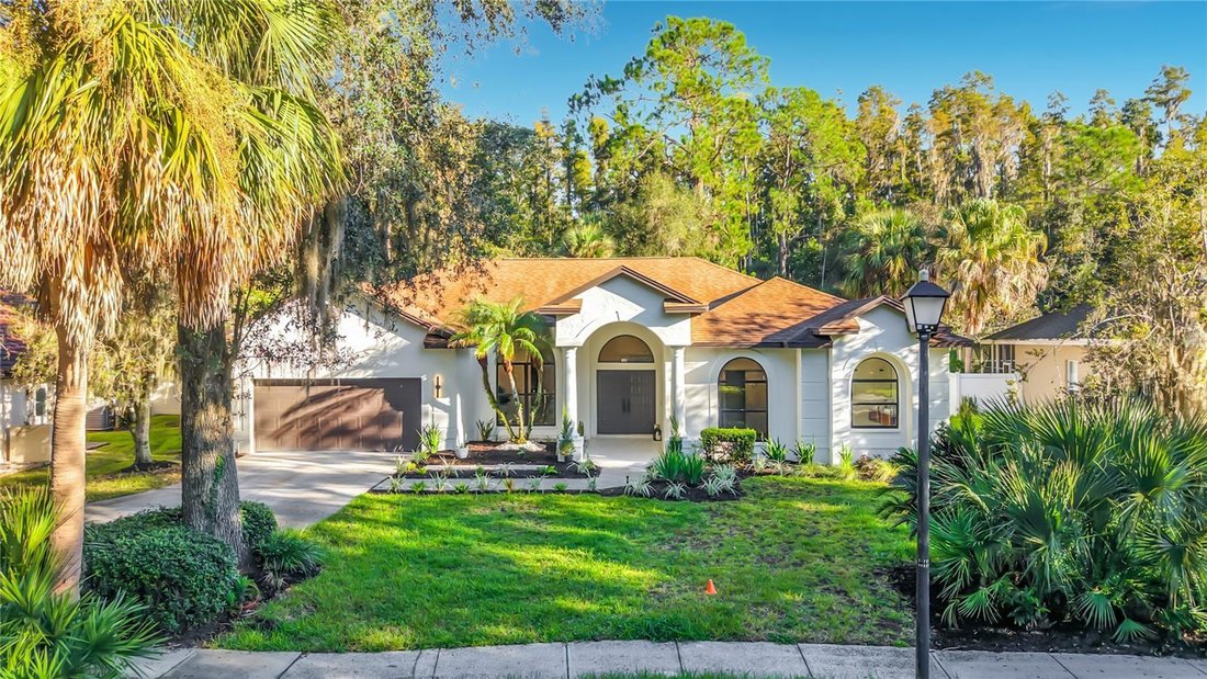 House in Tampa, Florida, United States 3 - 19023447