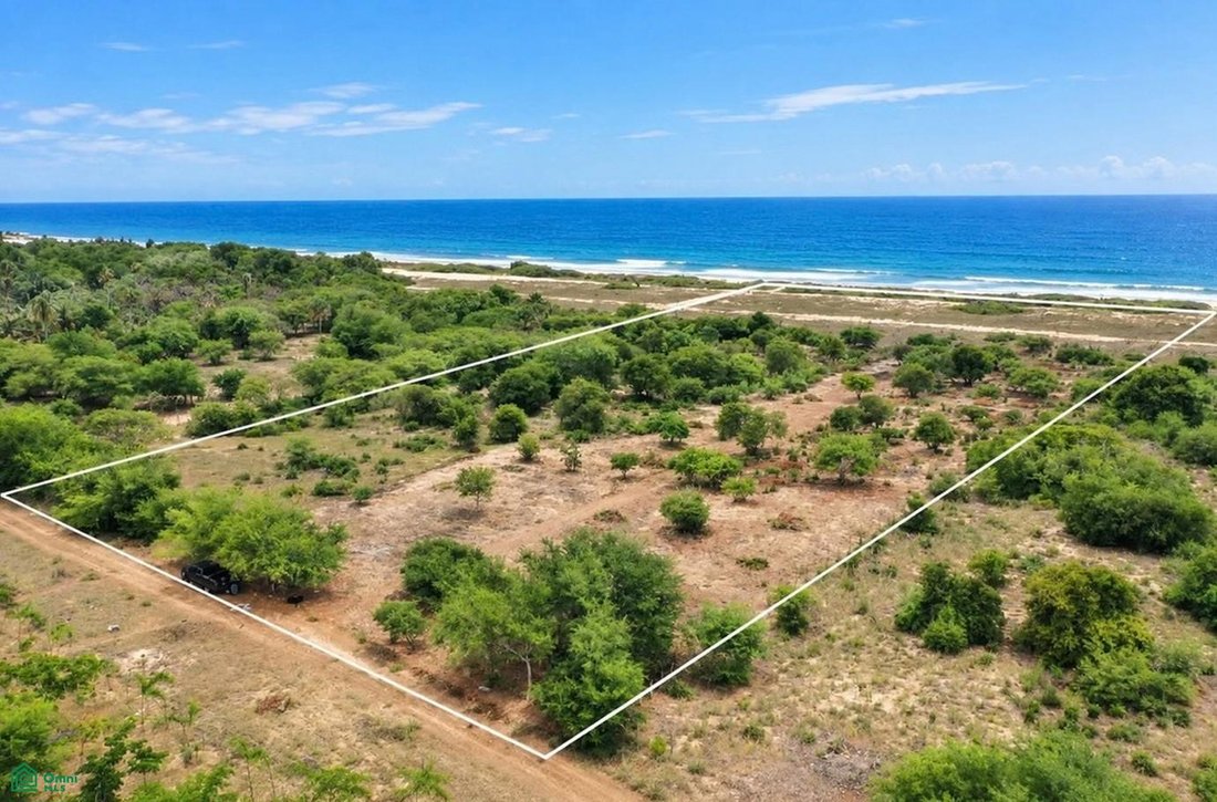 Land in Las Tres Palmas, Oaxaca, Mexico 2 - 19023572