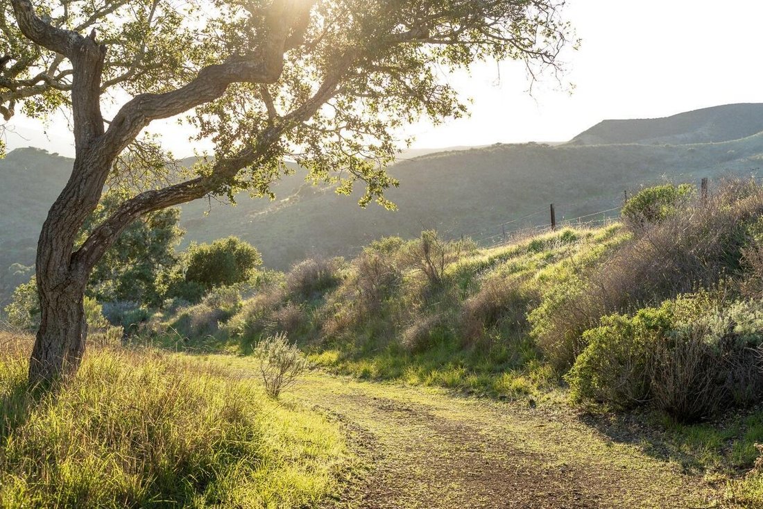 Terreno in Buellton, California, Stati Uniti 4 - 19031658
