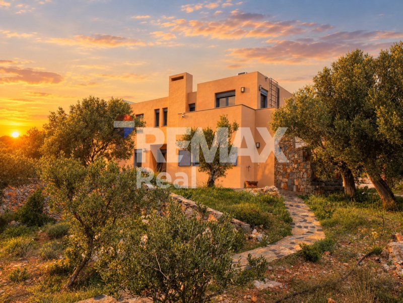 Villa en Community of Exo Lakkonia, Agios Nikolaos Municipal Unit, Grecia 1 - 19028588