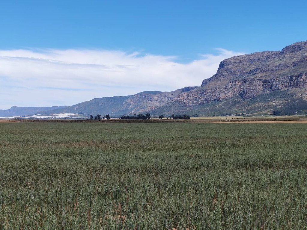 Farm Ranch in Piketberg, Westkap, Südafrika 1 - 19028499