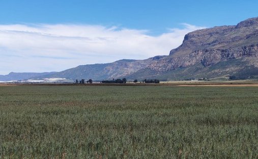 Farm Ranch in Piketberg, Western Cape, South Africa 1