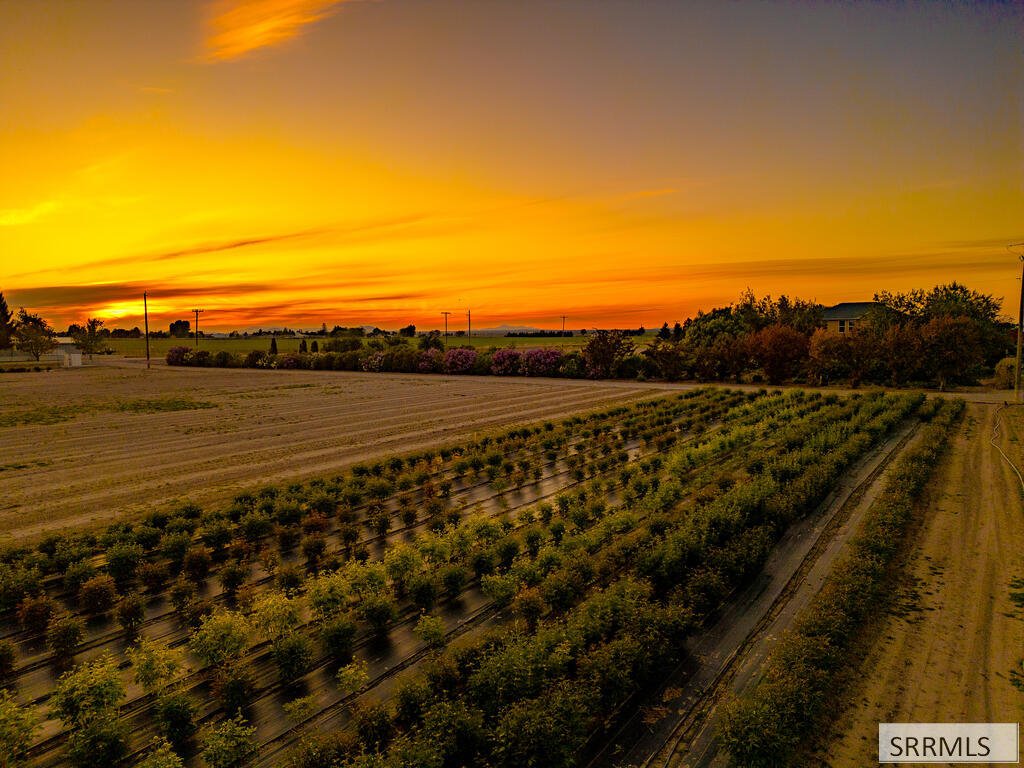Azienda agricola a Blackfoot, Idaho, Stati Uniti 4 - 19023886