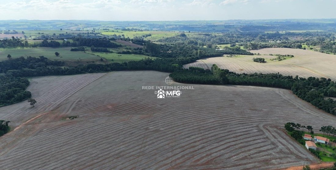Farm Ranch in Ronco, State of Paraná, Brazil 5 - 19033015
