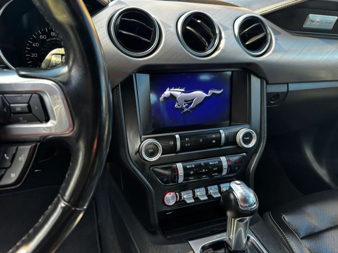Cabriolet in Houston, TX, United States 5 - 19025778