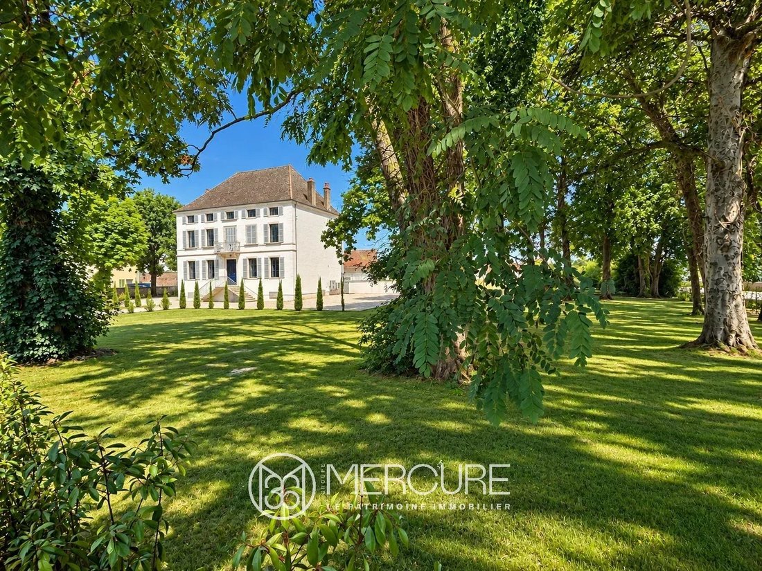 Estate in Chalon-sur-Saone, Bourgogne – Franche-Comté, France 1 - 16408452