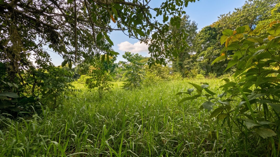 Terreno en San Andrés, Provincia de Chiriquí, Panamá 5 - 19031259