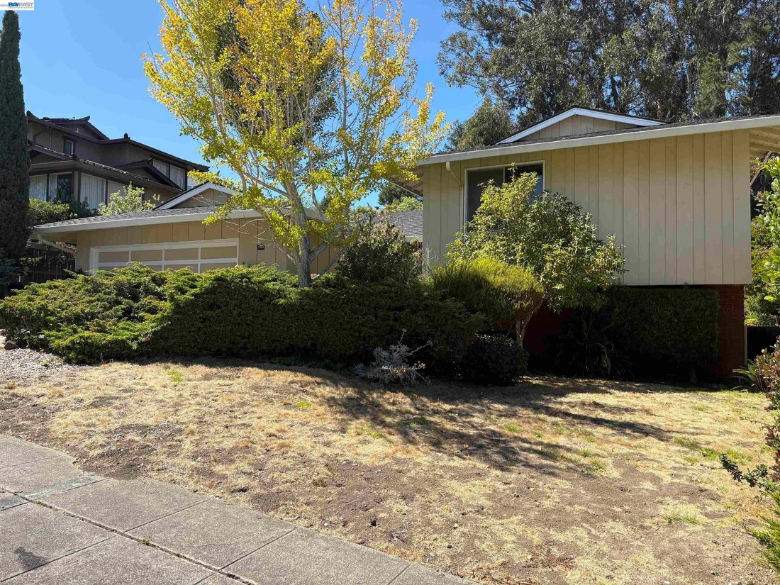 House in Millbrae, California, United States 3 - 19023702