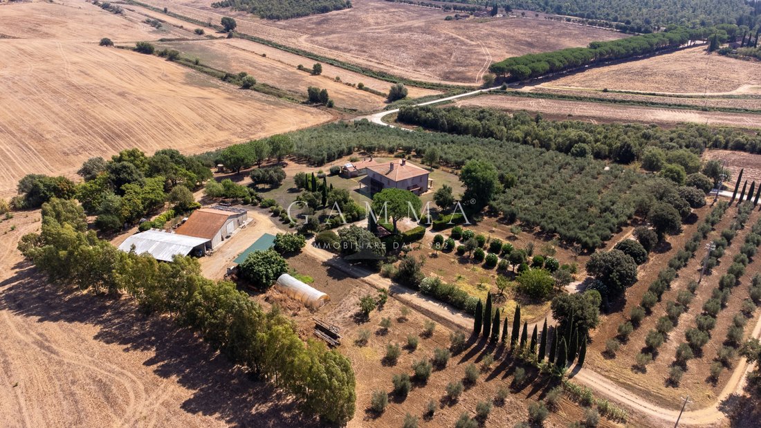 Estate in Magliano in Toscana, Tuscany, Italy 3 - 19020656