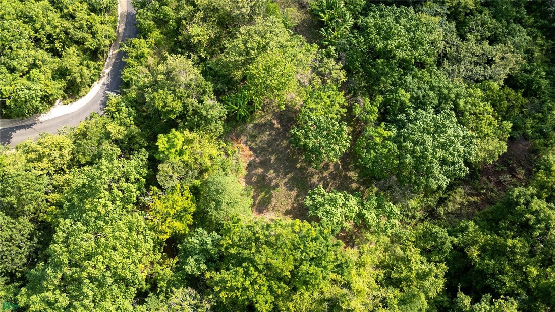 Land in Nosara, Nicoya, Costa Rica 4 - 18413346