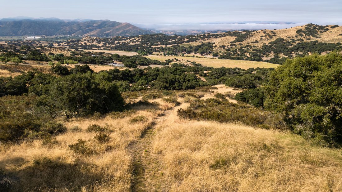 Terreno in Buellton, California, Stati Uniti 5 - 19031658