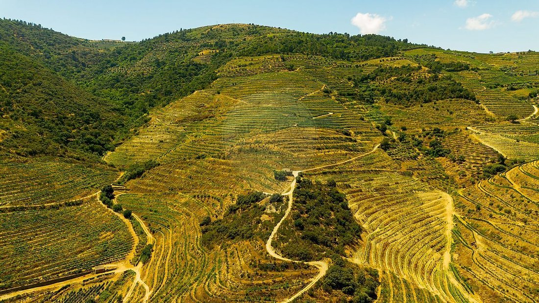 Azienda agricola a Ervedosa do Douro, Distretto di Viseu, Portogallo 5 - 17054893