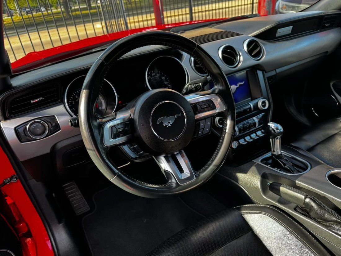 Cabriolet in Houston, TX, United States 4 - 19025778