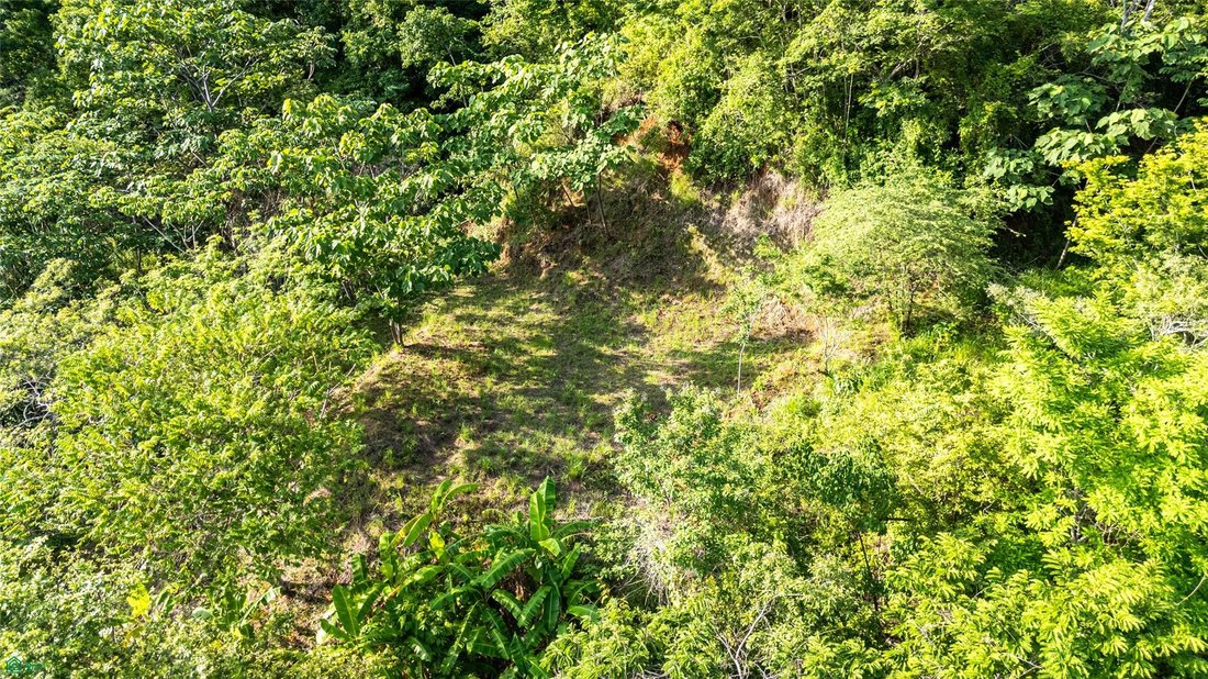 Land in Nosara, Nicoya, Costa Rica 3 - 18413346