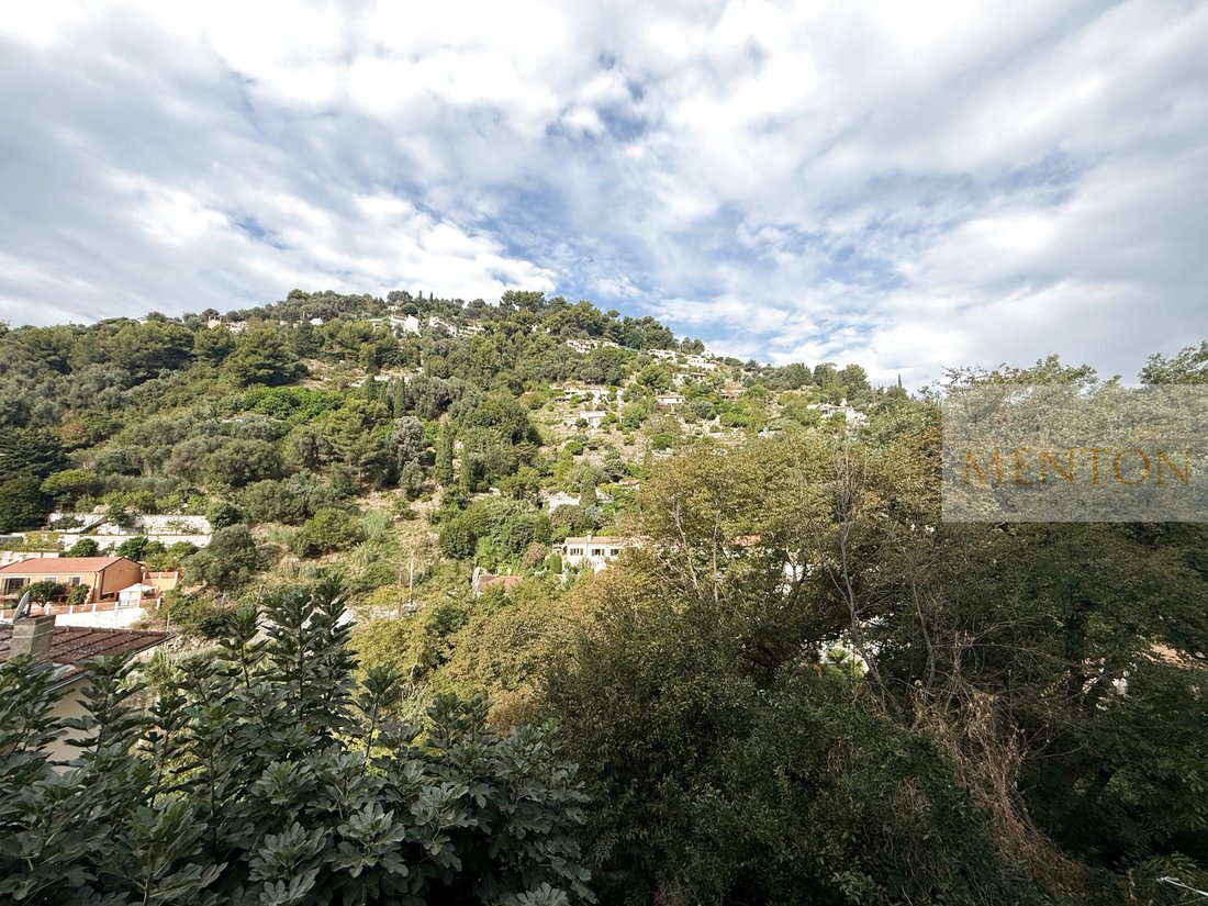 Apartment in Menton, Provence-Alpes-Côte d'Azur, France 2 - 19025059