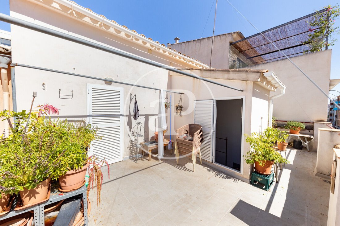 Villa in Palma, Balearic Islands, Spain 1 - 19027557