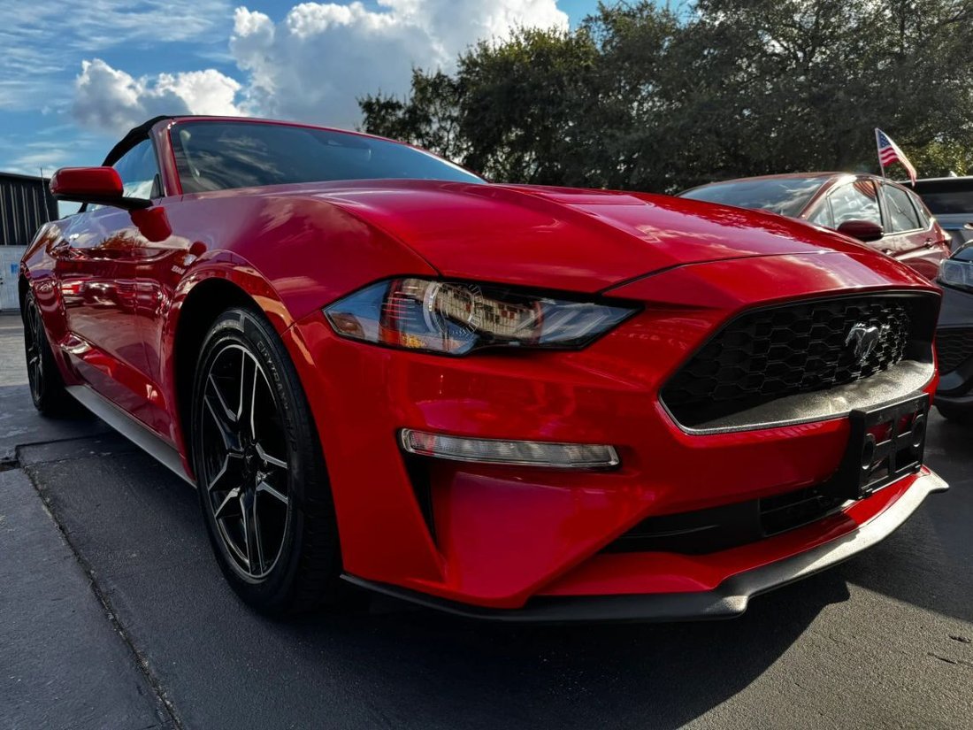 Cabriolet in Houston, TX, United States 2 - 19025778