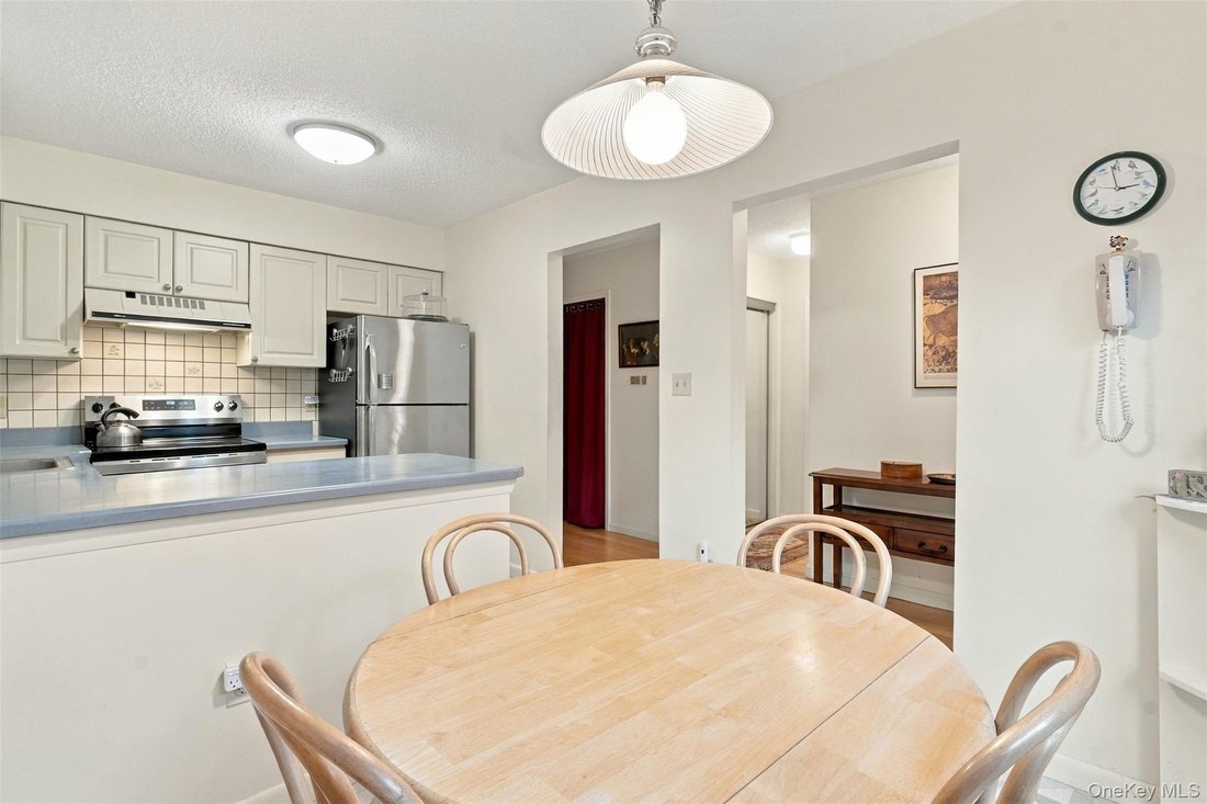 Condo in Rhinebeck, New York, United States 5 - 19032570