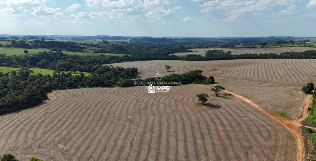 Farm Ranch in Ronco, State of Paraná, Brazil 4 - 19033015
