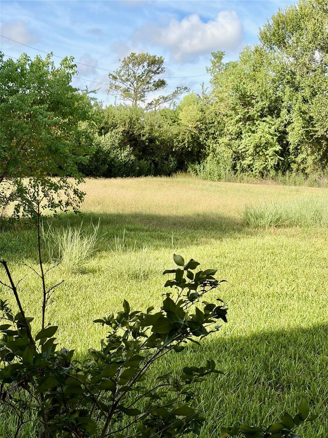 House in Pearland, Texas, United States 5 - 19027683