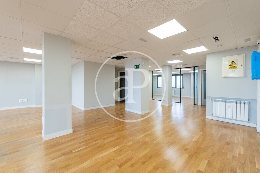 Apartment in Tetuan, Madrid, Spain 5 - 19027592