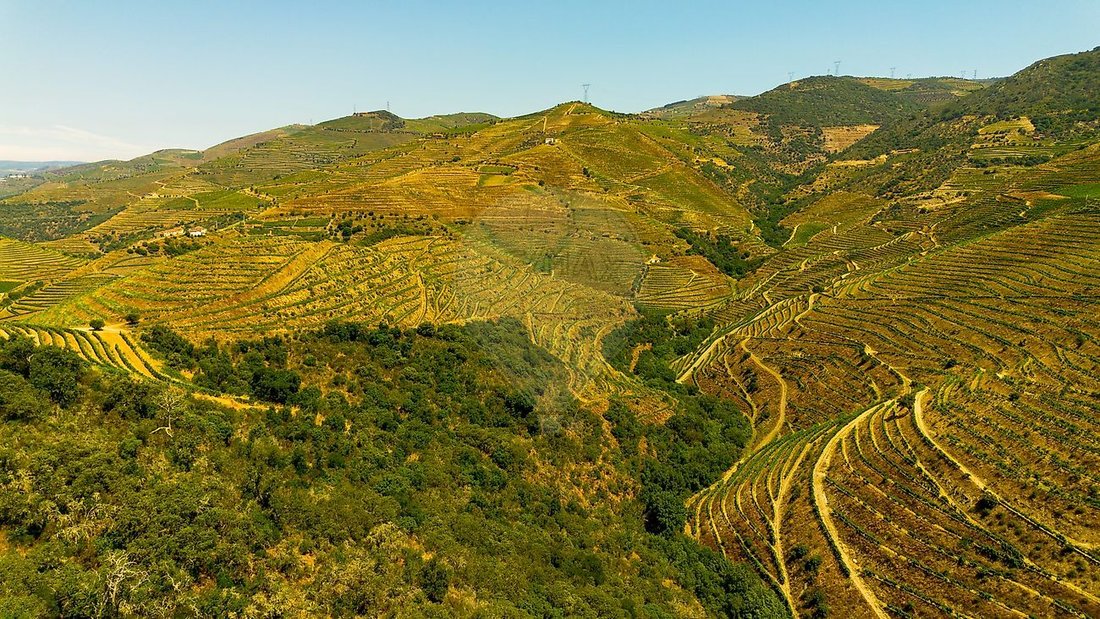 Azienda agricola a Ervedosa do Douro, Distretto di Viseu, Portogallo 3 - 17054893