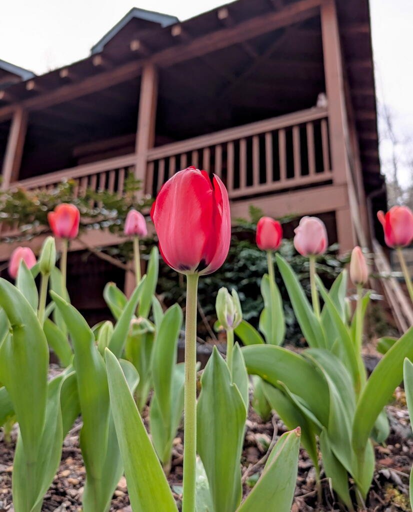 House in Jasper, Georgia, United States 1 - 19022907