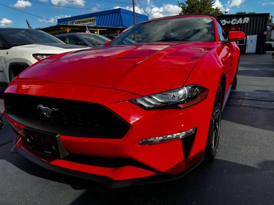 Cabriolet in Houston, TX, United States 1 - 19025778