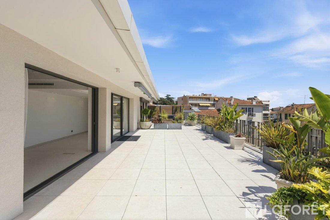 Apartment in Cannes, Provence-Alpes-Côte d'Azur, France 4 - 19022052