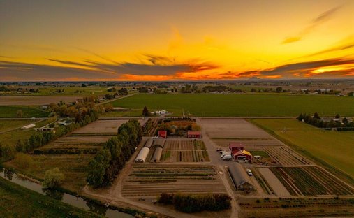 Azienda agricola a Blackfoot, Idaho, Stati Uniti 1