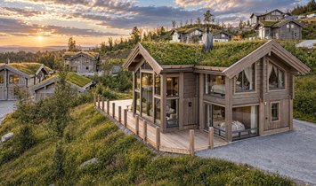 Chalet à Geilo, Comté de Buskerud, Norvège 2