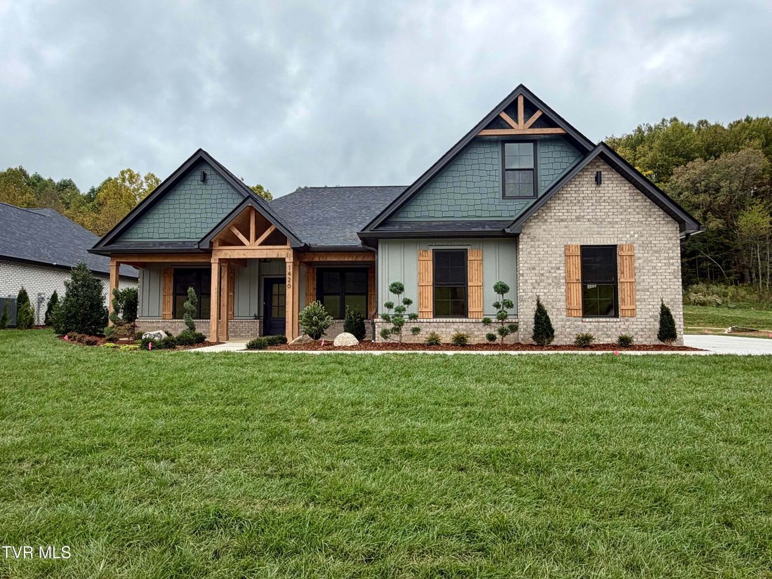 Maison à Johnson City, Tennessee, États-Unis 1 - 18921750