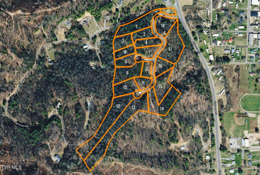 Roan Mountain, Tennessee, United States 2 - 19035258
