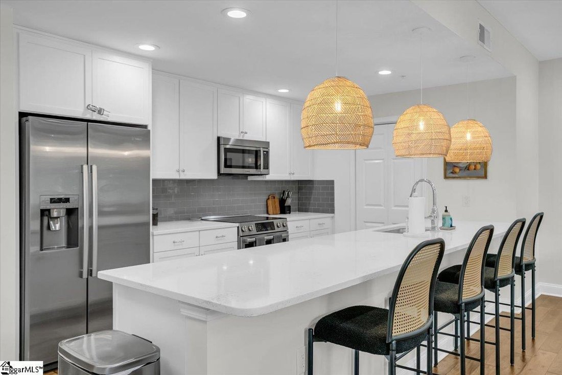 Condo in Greenville, South Carolina, United States 1 - 19012442