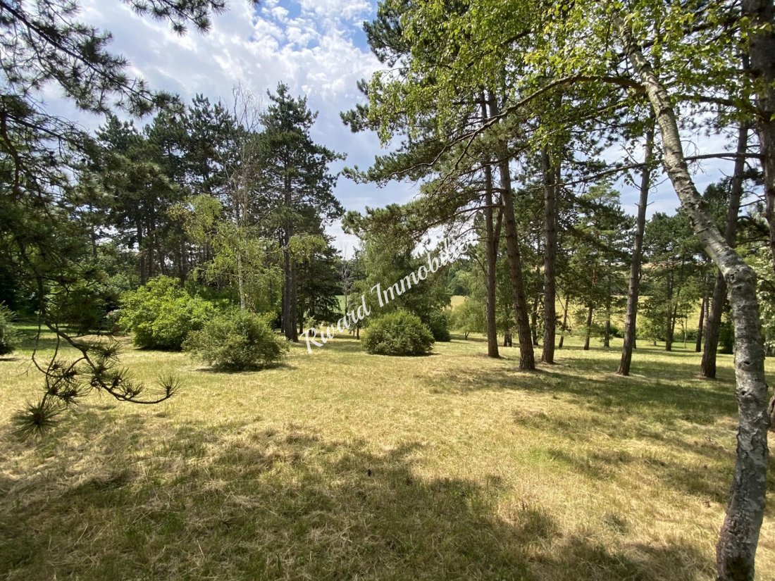 Haus in Maintenon, Zentrum-Loiretal, Frankreich 4 - 18387200