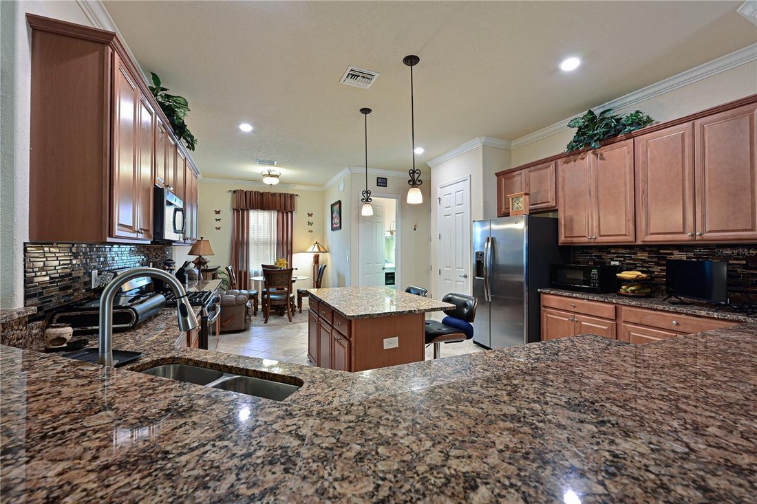 House in Bradenton, Florida, United States 5 - 19035925