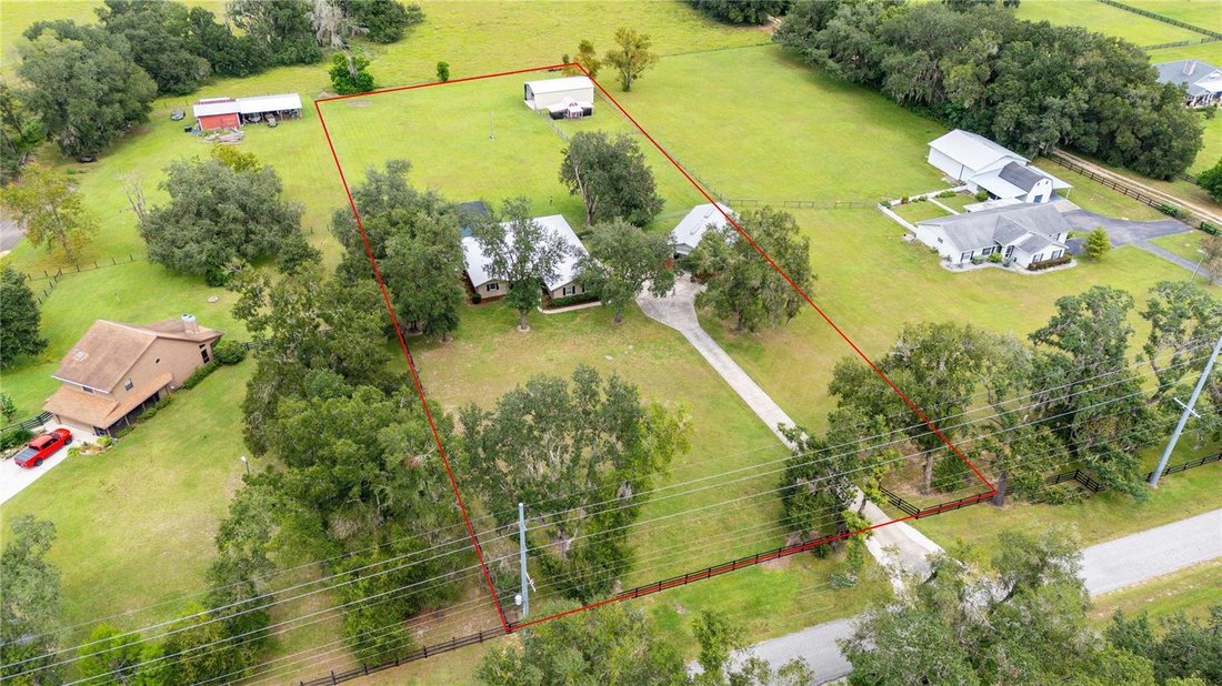 Maison à Dade City, Floride, États-Unis 3 - 19035924