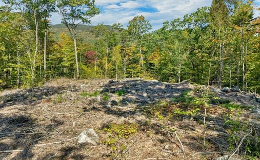 Land in Sandwich, New Hampshire, United States 1