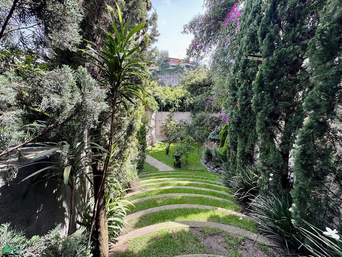House in Mexico City, Mexico 2 - 19021640