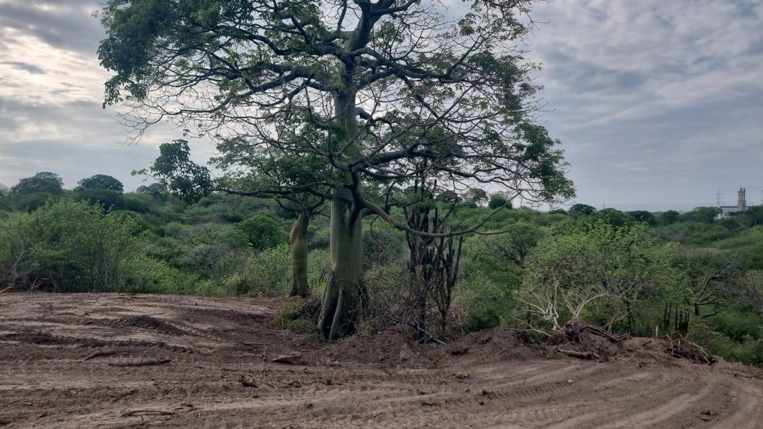 Land in Jaramijó, Manabí, Ecuador 5 - 19035871