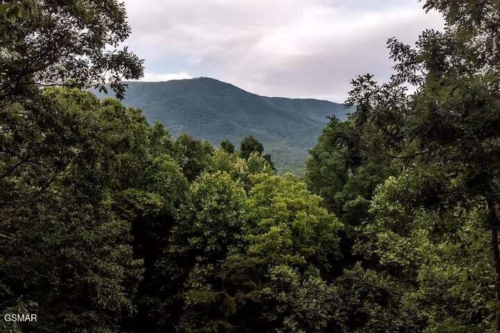 Haus in Sevierville, Tennessee, Vereinigte Staaten 2 - 19035511