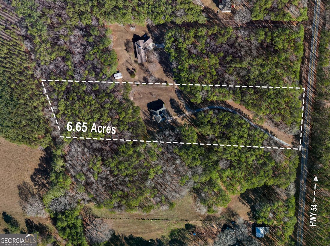 Haus in Moreland, Georgia, Vereinigte Staaten 2 - 19036012