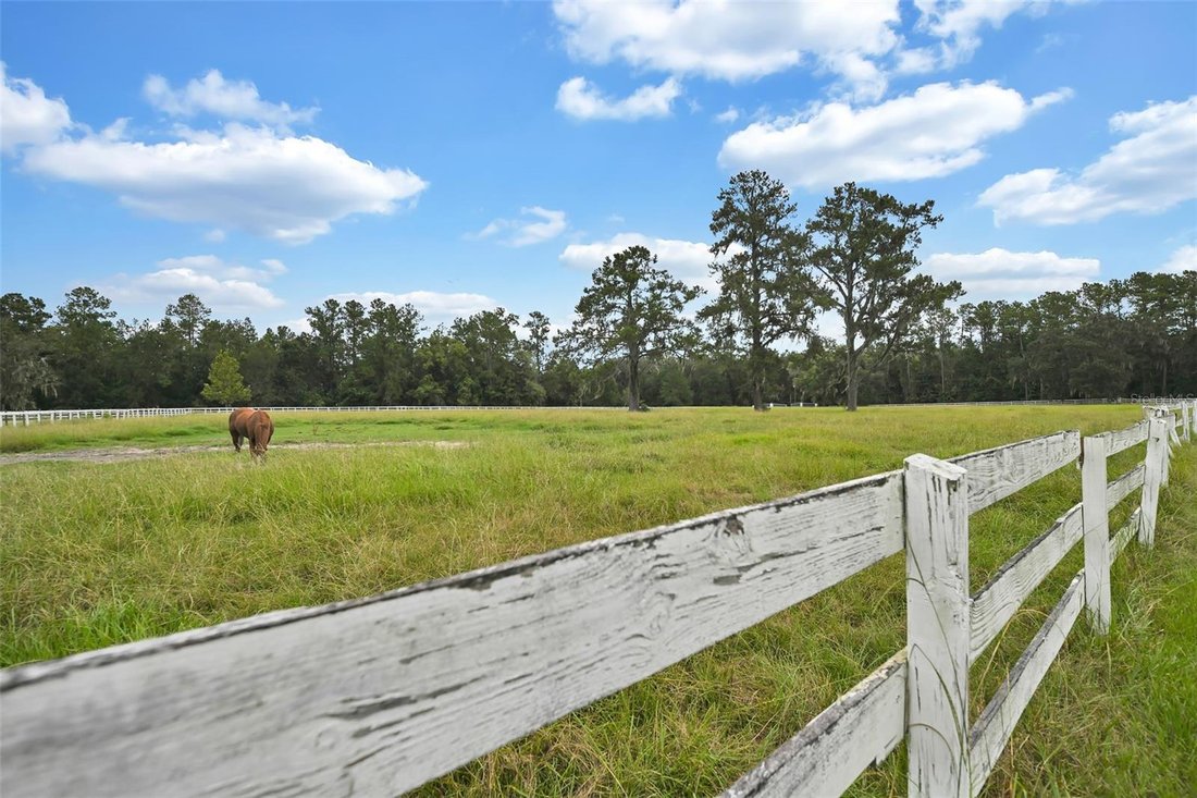 Azienda agricola a Micanopy, Florida, Stati Uniti 2 - 19035928
