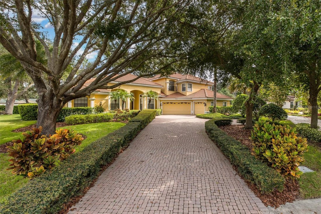 Casa en Trinity, Florida, Estados Unidos 3 - 19035886