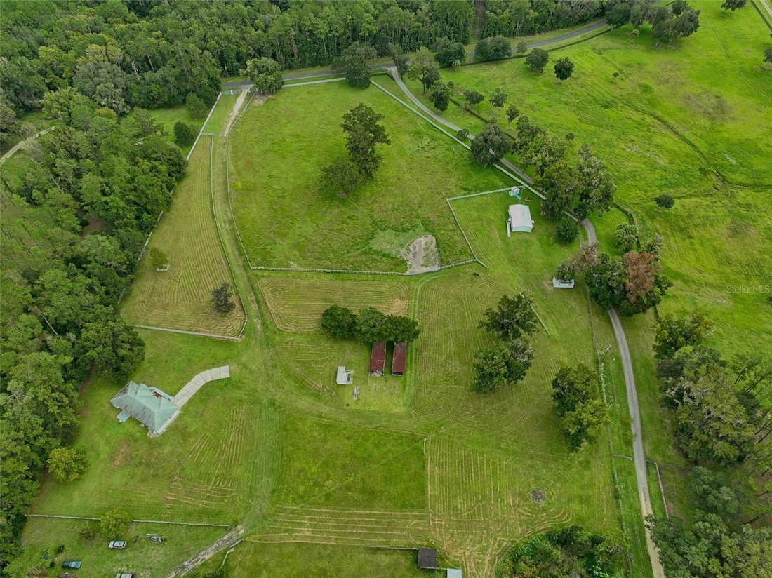 Azienda agricola a Micanopy, Florida, Stati Uniti 3 - 19035928