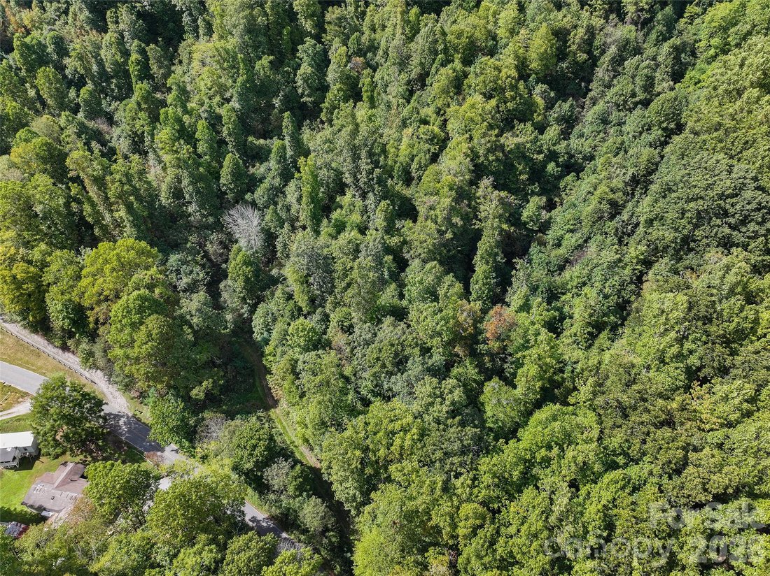 Land in Waynesville, North Carolina, United States 5 - 19036196