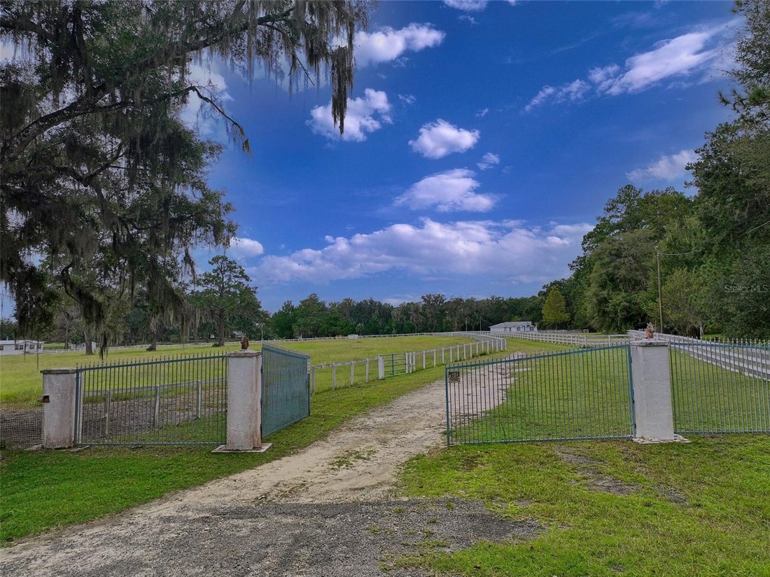 Azienda agricola a Micanopy, Florida, Stati Uniti 4 - 19035928