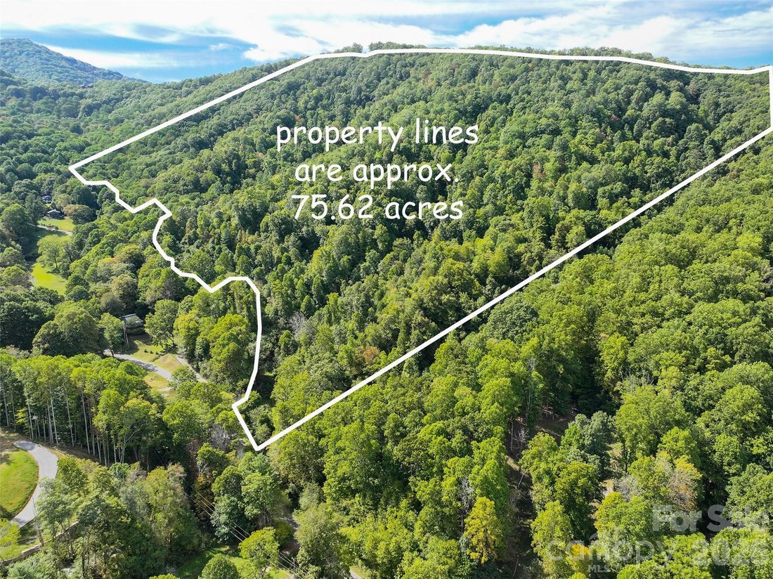 Land in Waynesville, North Carolina, United States 1 - 19036196