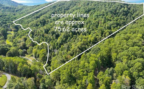 Terreno a Waynesville, Carolina del Nord, Stati Uniti 1